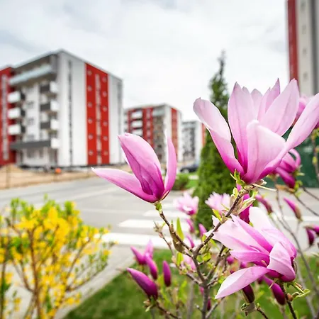 Belle View Apartment Brasov-2